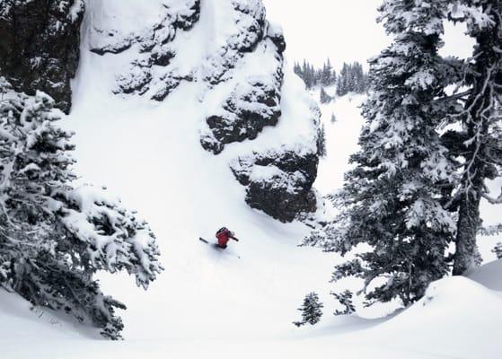 Pacific Alpine Guides