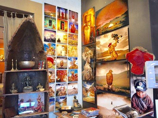 Beautiful photographs by the owner