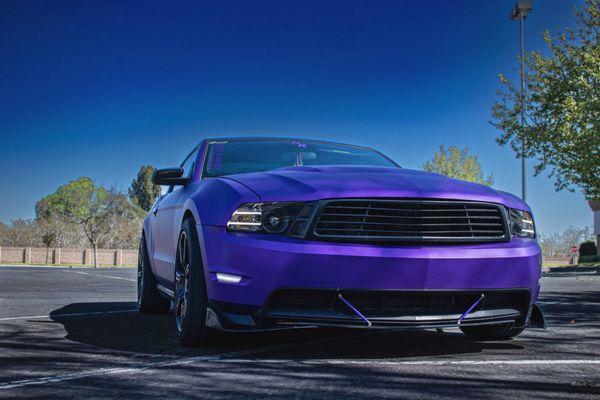 Extreme Clean Carpet Care