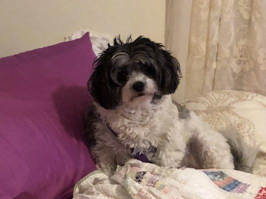 Brighter Life Counseling