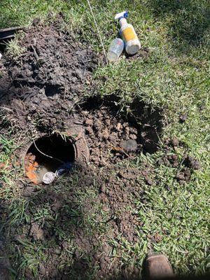 Martinez Tree Service