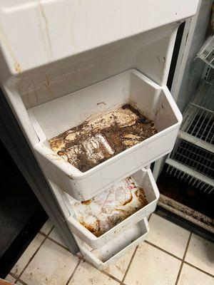 Natural Cleaning Experts LLC