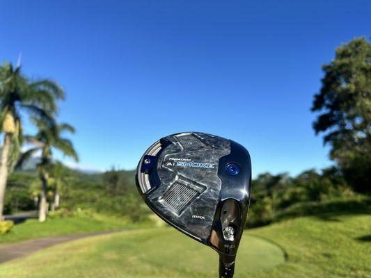 Hawaii Golf Club Rentals