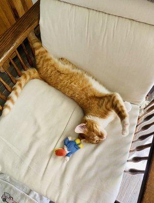 Parkway Antiques And Estate Sales