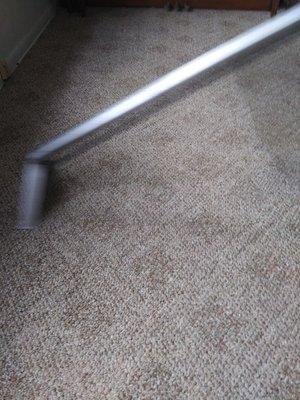 Carlies Carpet Cleaning