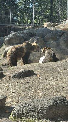 Dakota Zoological Society Inc