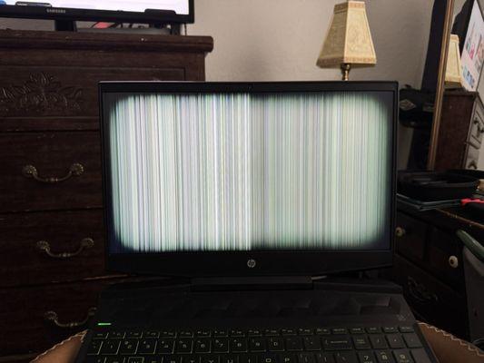 Alpine Computer Repair & IT Services