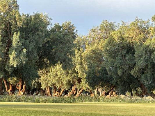 Furnace Creek Ranch Golf Course