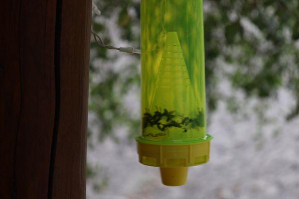 Santa Margarita KOA Holiday