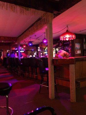 The bar complete with stuffed gators.