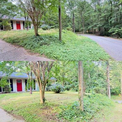 Before and after of my front yard