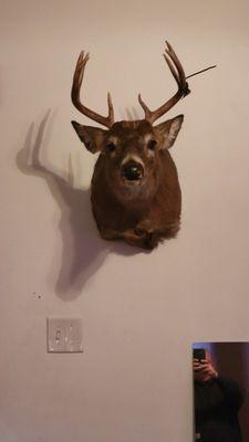 Turkey Jack’s Taxidermy and Camouflaging