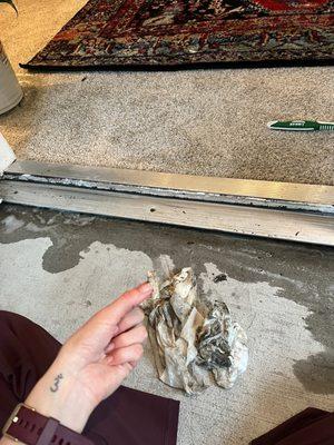 Hawthorne at Kennesaw