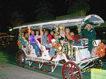 Big Horse Carriage Company