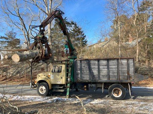 Affordable Tree Service