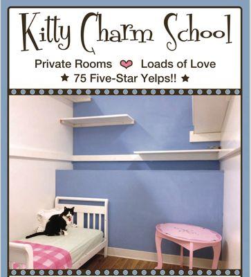 Kitty Charm School