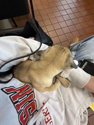 Perfect 10 Quick Lube