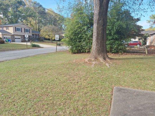 Out The Jungle Lawn Care