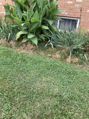 Ecogardens Landscaping