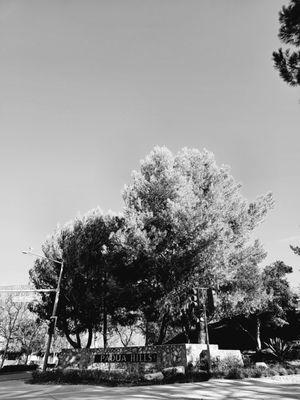 Welcome to Padua Park