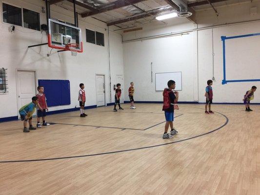 Scout Pest Management