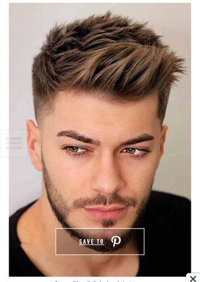 The photo I showed the guy before he told me to "go to a beauty salon"