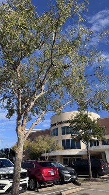 Kelsey-Seybold Clinic - Fort Bend Medical and Diagnostic Center