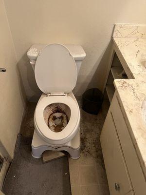 JD Efficient Cleaning Service