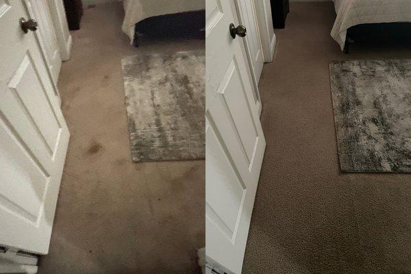 ElitePro Carpet Cleaning