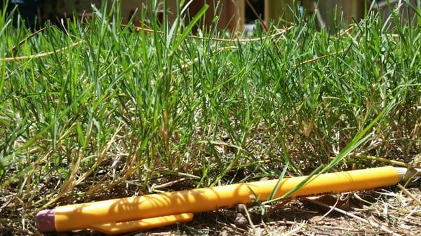 Cutting Edge Landscape Services