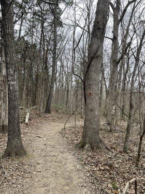 White River Valley Trail System
