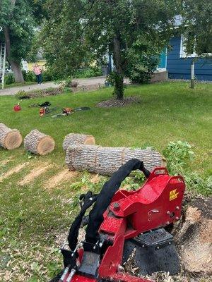 Crow River Tree Service