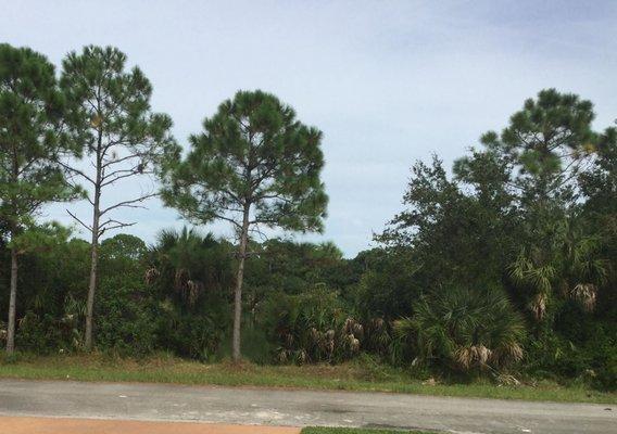 JPF Property Renewal