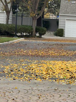 Luis Olivares Landscaping