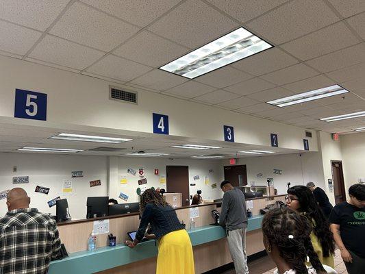 Windows all with their own cameras