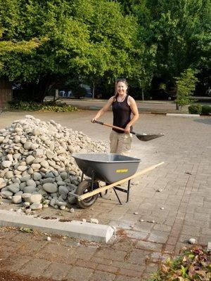 Moving river rock for a garden.