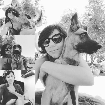 Furever Friends Pet Services