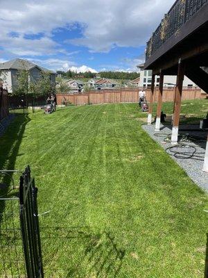 AK Unique Landscaping