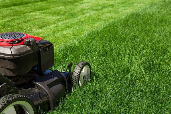 Affordable, licensed and insured. Free estimates!