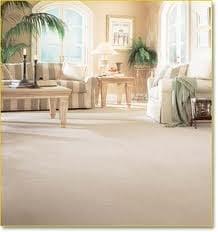 Perfect Carpet & Rug Cleaning
