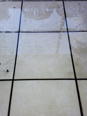 Carpet N Cleaning Company