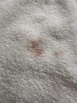 La Quinta Inn & Suites by Wyndham Hartford-Bradley Airport