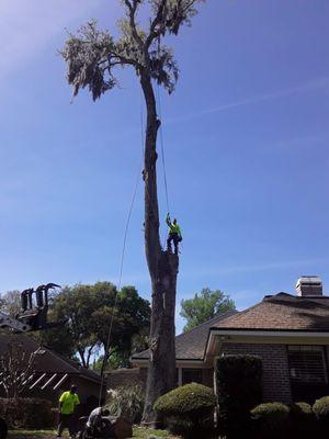 Comptons Tree Service