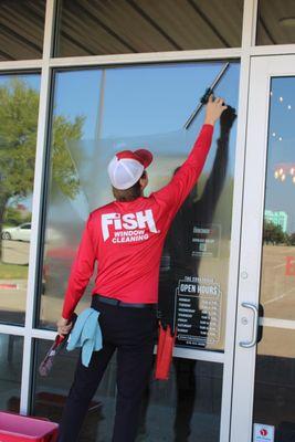 Fish Window Cleaning