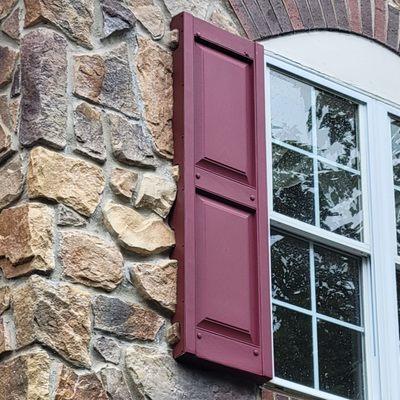 Backyard Wildlife Solutions