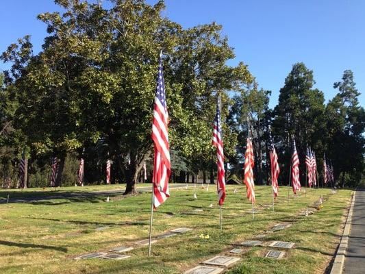 Memorial Day flags.