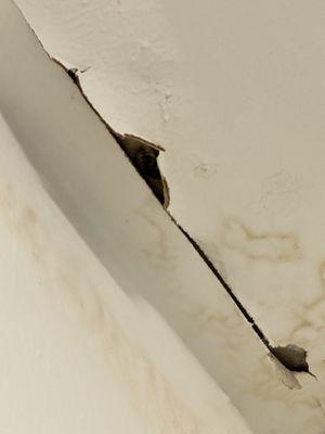Black mold growing in the ceiling