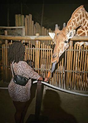 NGALA Wildlife Preserve