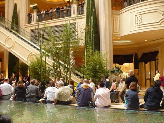 The Living Garden Show