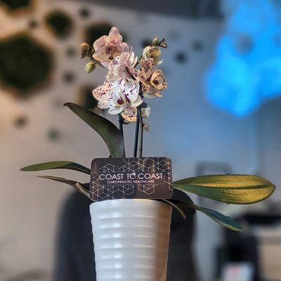 Brickell Chiropractic Center